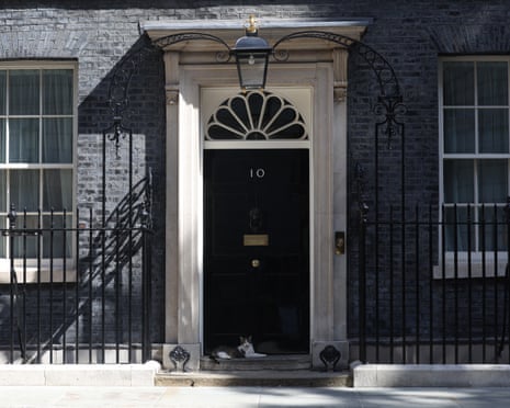 Larry the Cat sits in the shade on the doorstep of 10 Downing Street in central London.