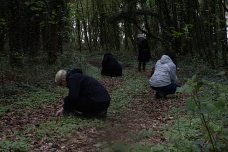 People stitchery moss, ferns and fallen branches from nan wood floor