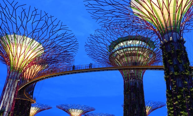 Supertree Grove at dusk in Gardens by the Bay, Singapore