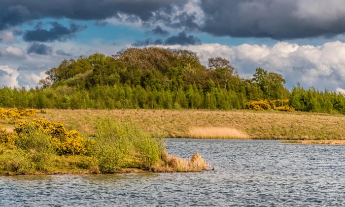 How millions of trees brought a broken landscape back to life 4470