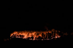 A row of trees burning in the darkness