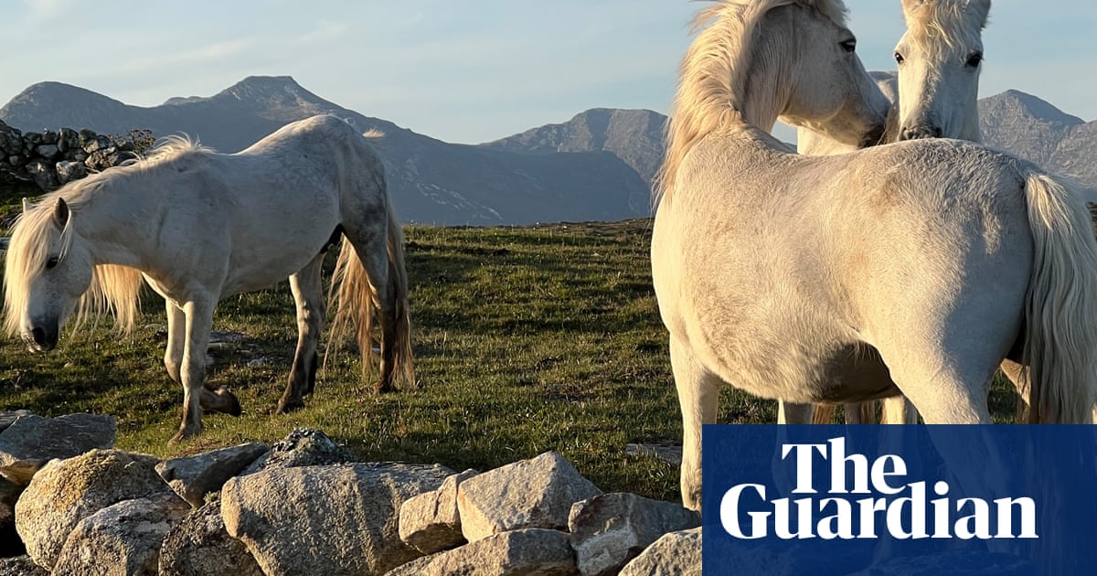 You don't get a second chance at a shot like this horses wander off': Mike Wells's best phone picture