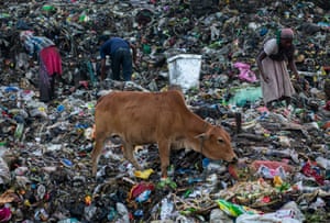 Pessoas coletam itens reutilizáveis no lixão de Boragaon em Guwahati, Índia