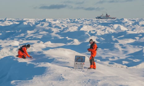 arctic researchers
