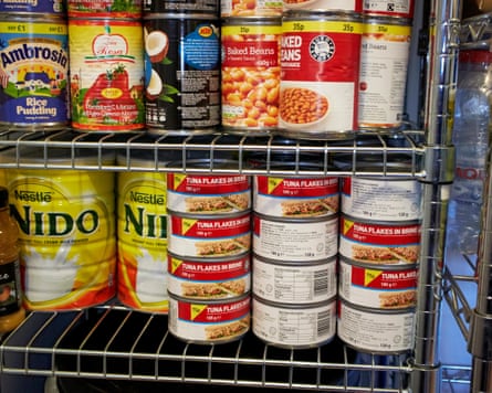 Cans of various foodstuffs on two wire shelves