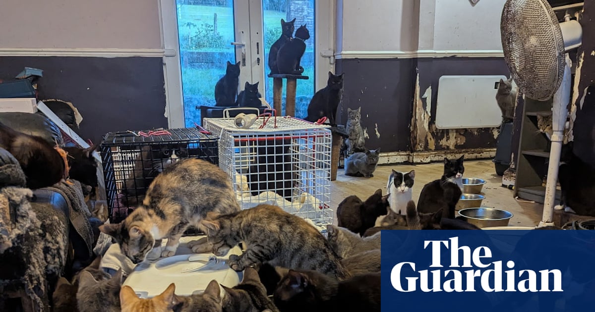Cost of living and mental health crisis driving mass animal rescues, says RSPCA