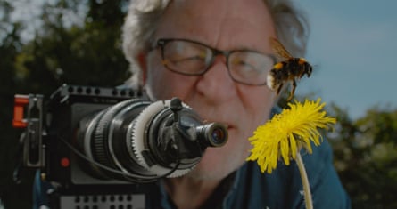Martin Dohm filming a bumble bee hovering over a dandelion