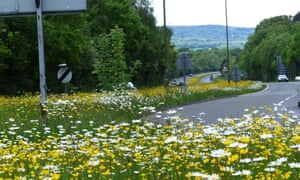 A24 bypass, Capel, Surrey