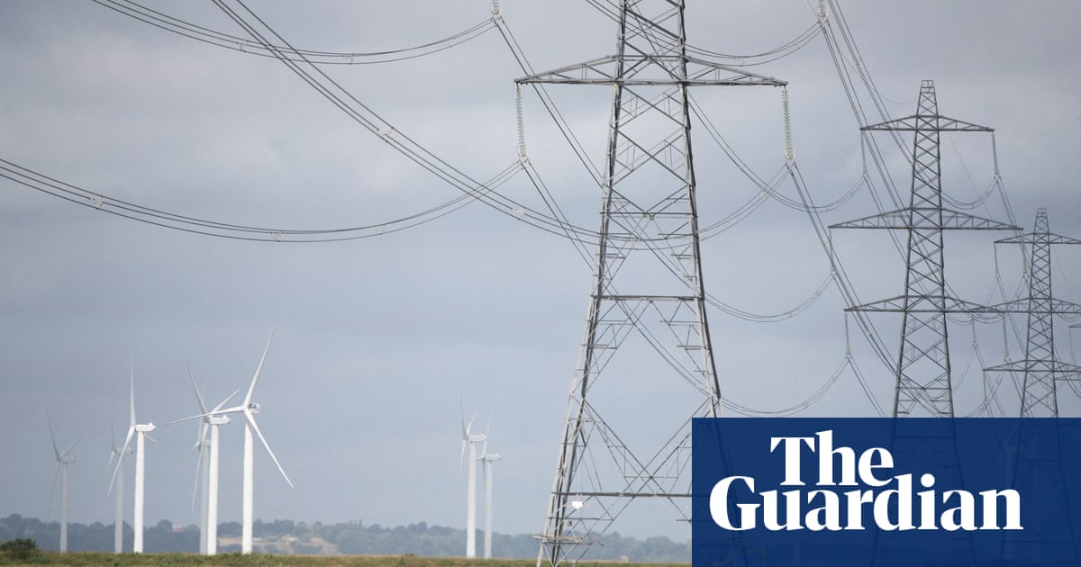 Labour to press on with pylons as study shows underground cables more costly