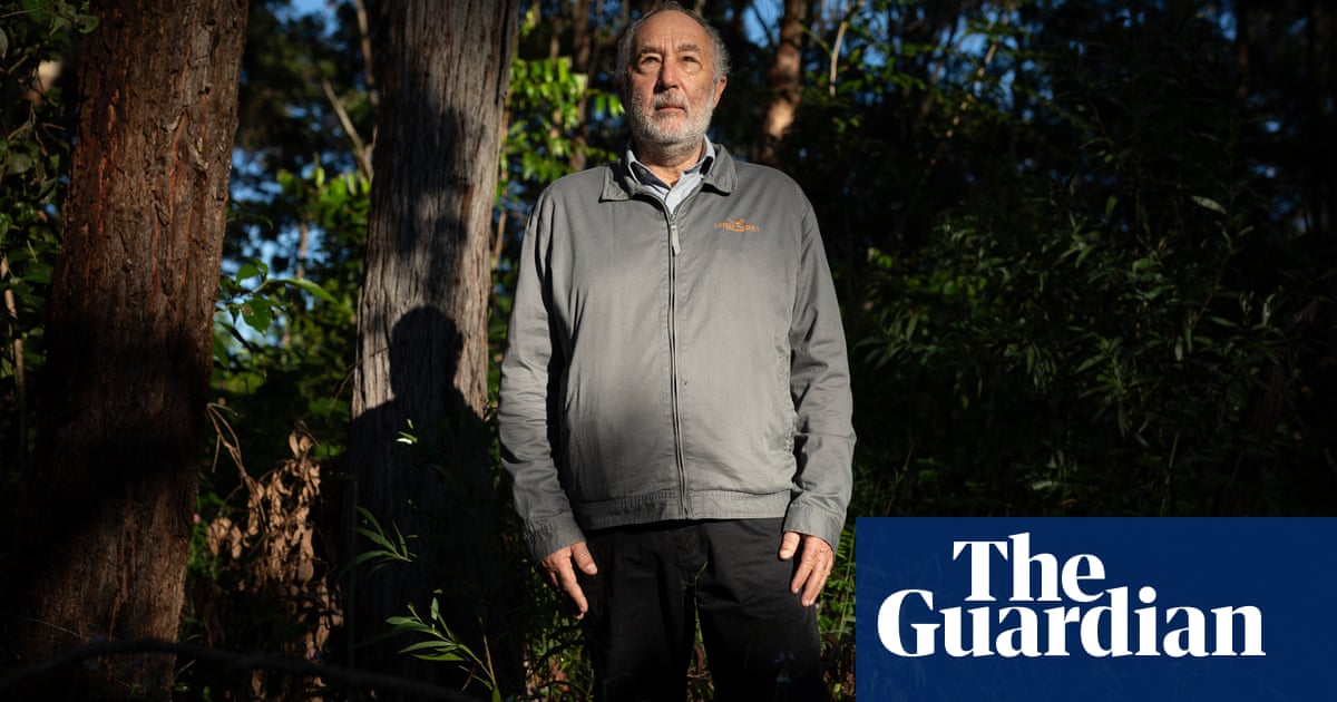 NSW forestry agency should be shut down for repeatedly breaking law, critics argue