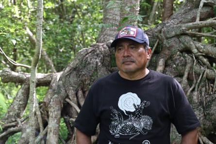 A man stands in front of a mass of tree roots