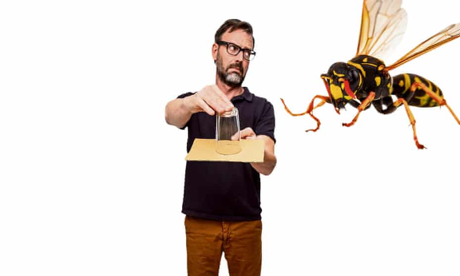 ‘Wasps are no problem at all for most of the year.’