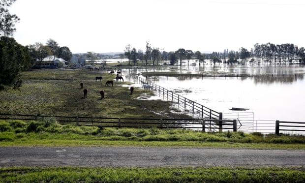 Flood water retreating across a paddock