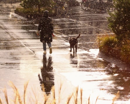 Woman walking the dog in rainy weather in city creating reflections in the pavement.