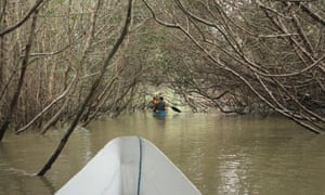 Canoe tour of Isla Corazón, Ecuador