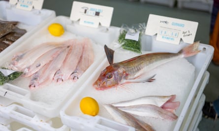 brixham fish box delivery Fillet 20 Fresh Portions Brixham fish market has 43m