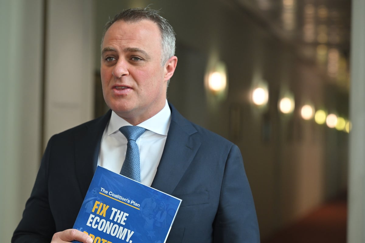 Shadow treasurer Tim Wilson.