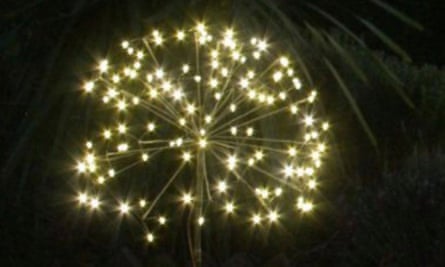 Dandelion solar lights against a dark sky