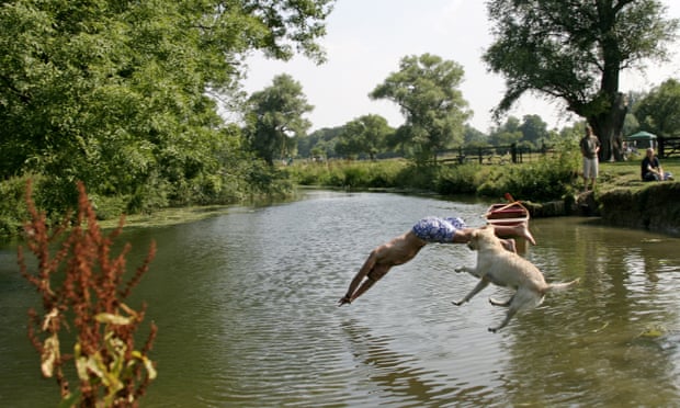 A man and a dog jump into the River Cam