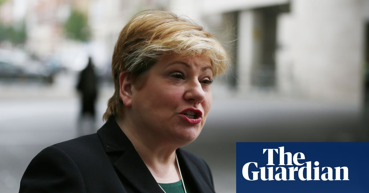 UK ministers accused of ‘embarrassing failures’ in Abd el-Fattah case