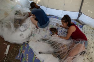 Voluntários cuidam de ovelhas queimadas em um hospital de campanha para animais após um incêndio florestal no distrito de Manavgat, na Turquia.