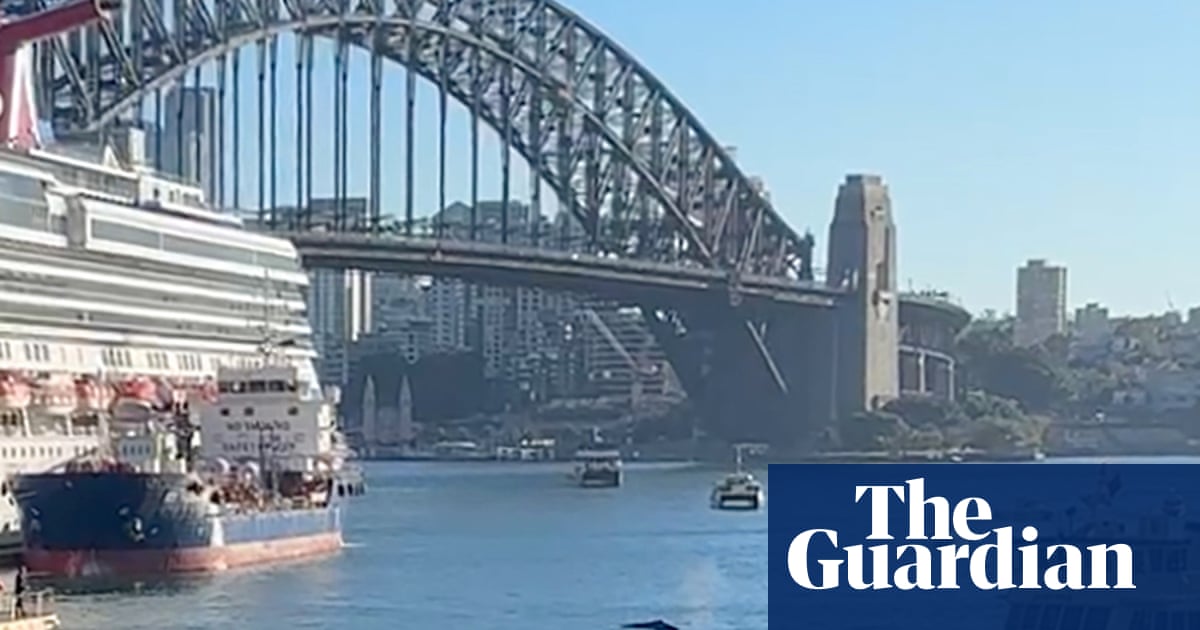Juvenile Whale Disrupts Sydney Harbour Ferries