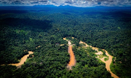 Os garimpeiros estão devastando o território Yanomami na Amazônia.