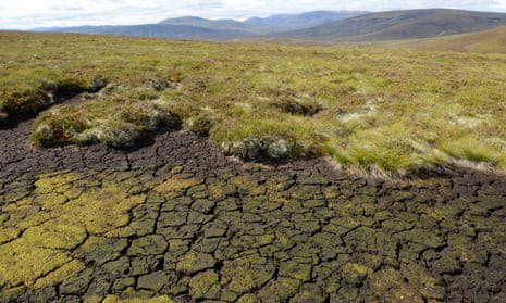 Dried out peat at a Peatland Action site at North Gairn on the Invercauld Estate in the Cairngorms National Park. Scotland