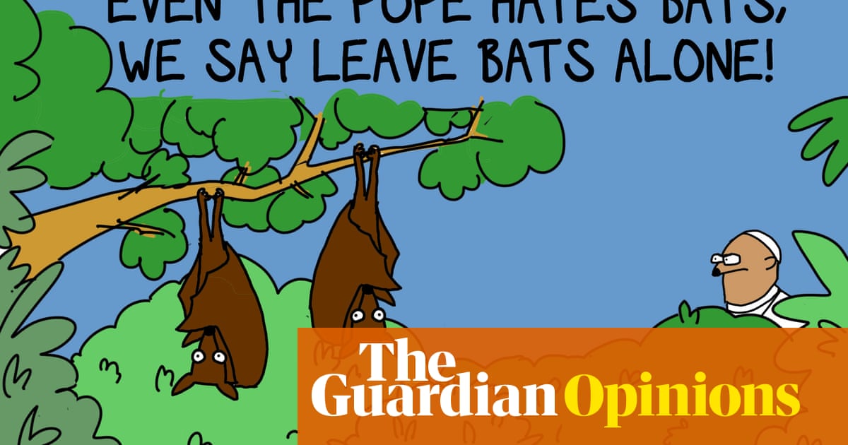Should We Blame Bats For The Terrible Coronavirus We Should Not Bats Are Our Friends First Dog On The Moon Opinion The Guardian