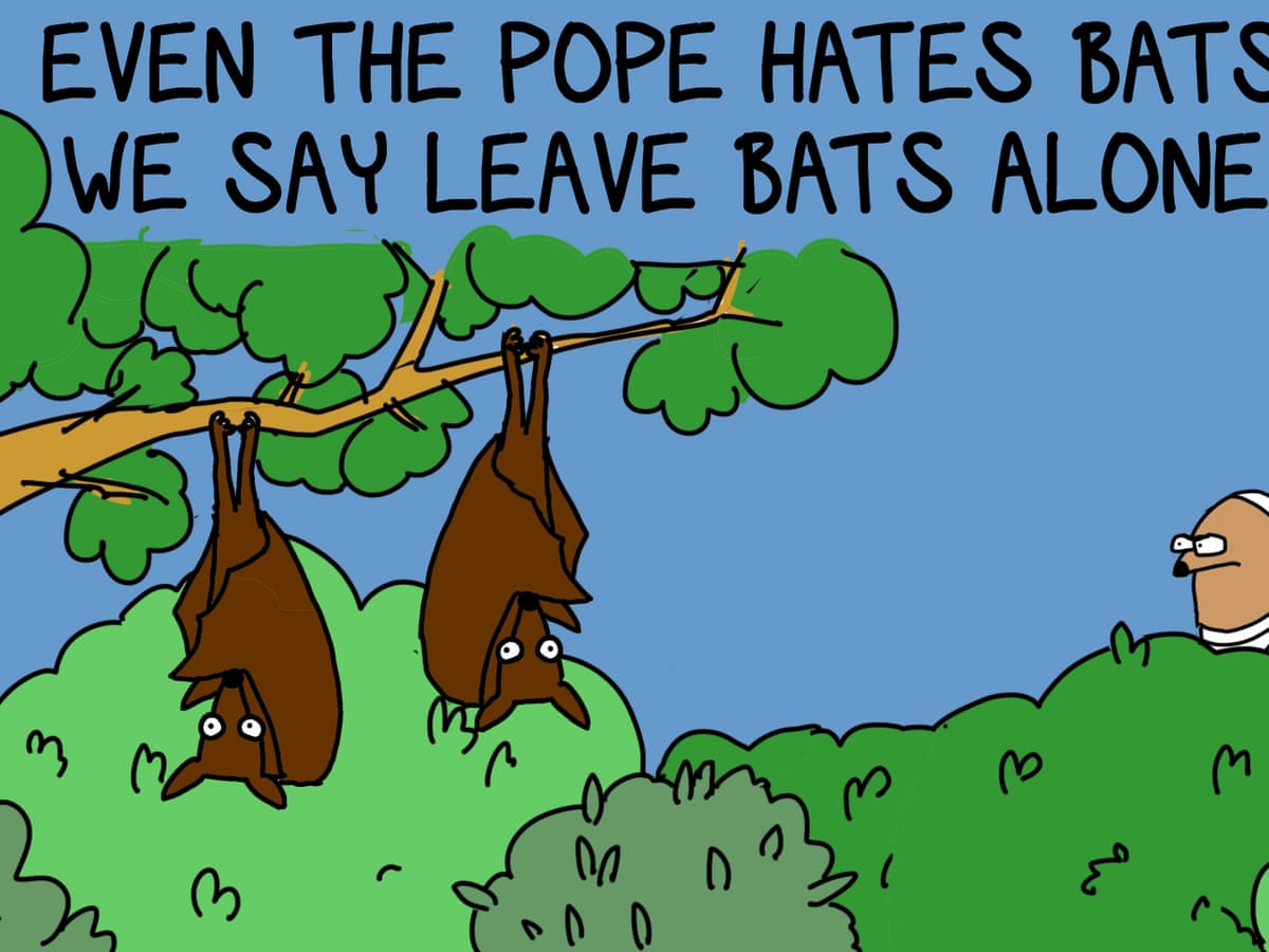 Should We Blame Bats For The Terrible Coronavirus We Should Not Bats Are Our Friends First Dog On The Moon Opinion The Guardian
