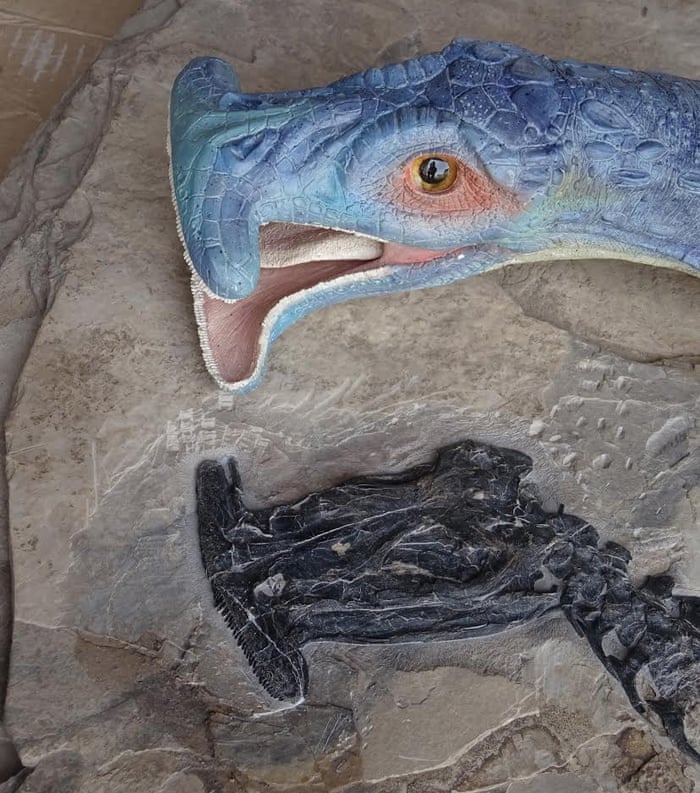 Atopodentatus was a hammerheaded herbivore, new fossil find shows | Fossils  | The Guardian