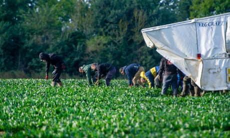 Ukrainians made up by far the largest proportion of workers in the UK on seasonal farm worker visas in 2021.