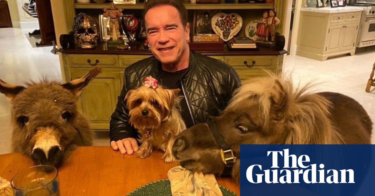 Horse trading: Arnold Schwarzenegger puts Whiskey and Lulu to work