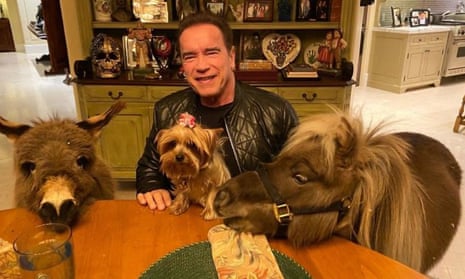 Arnold Schwarzenegger’s menagerie, captured via YouTube.