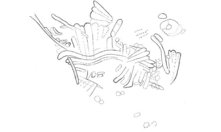 A line drawing of the undulated panel on the wall of the Roche-Cotard cave.