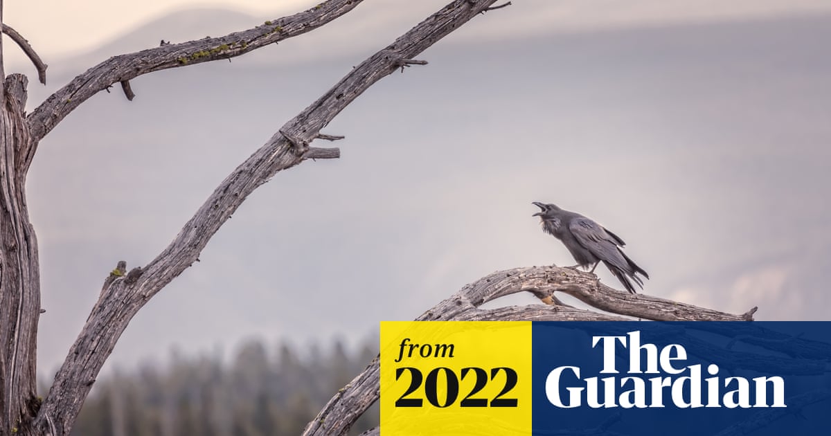 The best recent science fiction and fantasy – reviews roundup