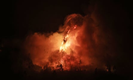 Dramatic photos of trees burning a night