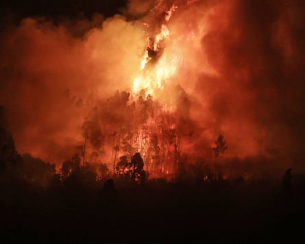Trees burn in Talhadas, Sever do Vouga, Aveiro, Portugal 18 September 2024.