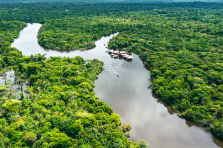 A river flows between thick, green forest.