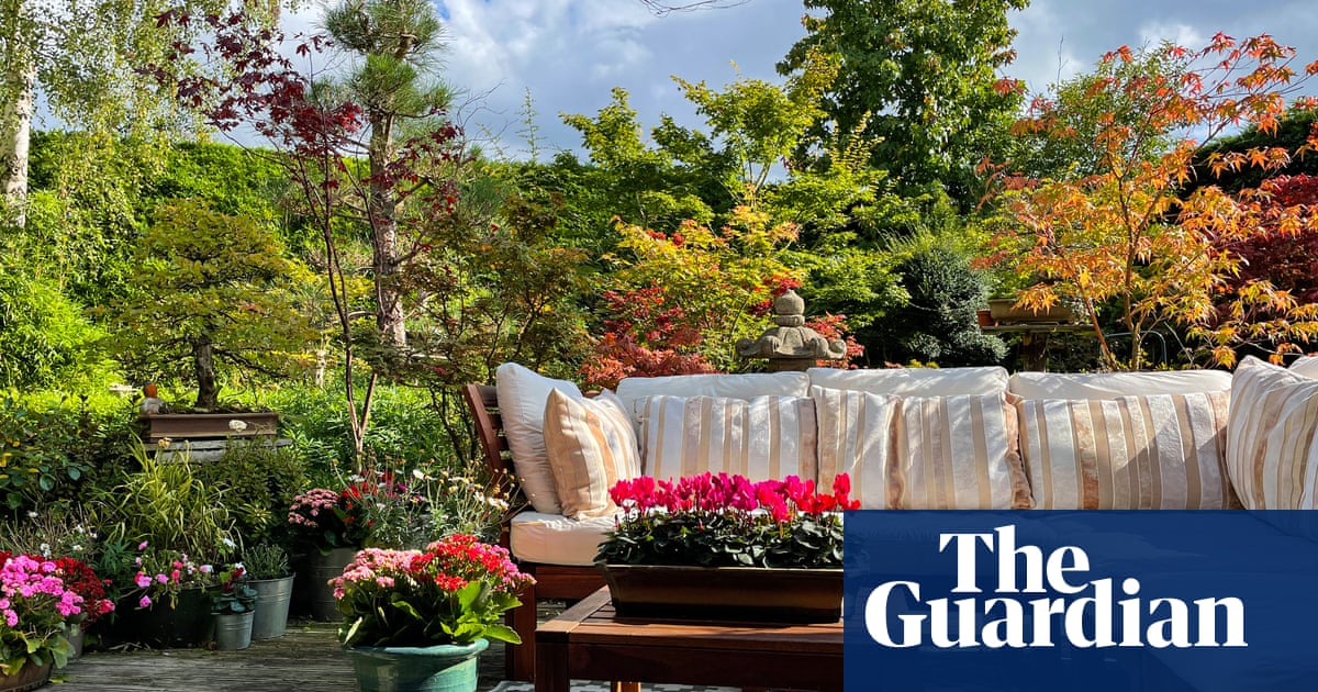 Summer Patio Decor Trends Focus on Comfort