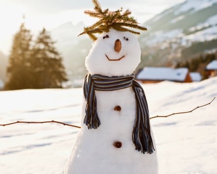 A smiling snowman with a scarf, pine cone nose, and pine-branch hair stands in a snowy field