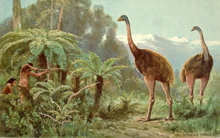 An illustration of two giant birds in a jungle setting being hunted by people