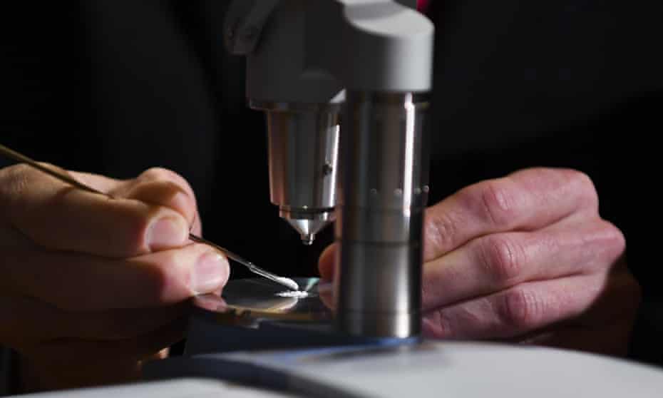 New Zealand To Enshrine Protections For Pill Testing In World First New Zealand The Guardian New Zealand To Enshrine Protections For Pill Testing In World First New Zealand The Guardian