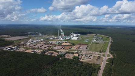 Aerial view of farm plots surrounded by green plantations