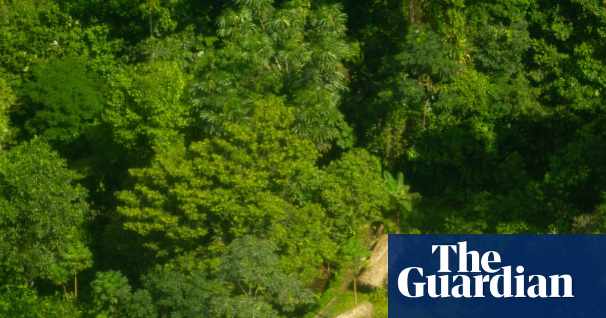Peru accused of violating human rights after government rejects reserve for uncontacted peoples