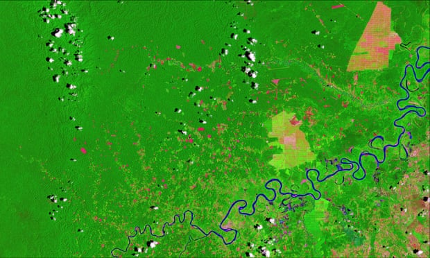 Deforestation in the the Peruvian Amazon shown in pink on a satellite image