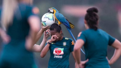 Parrot lands on head of Brazilian footballer during practice match – video