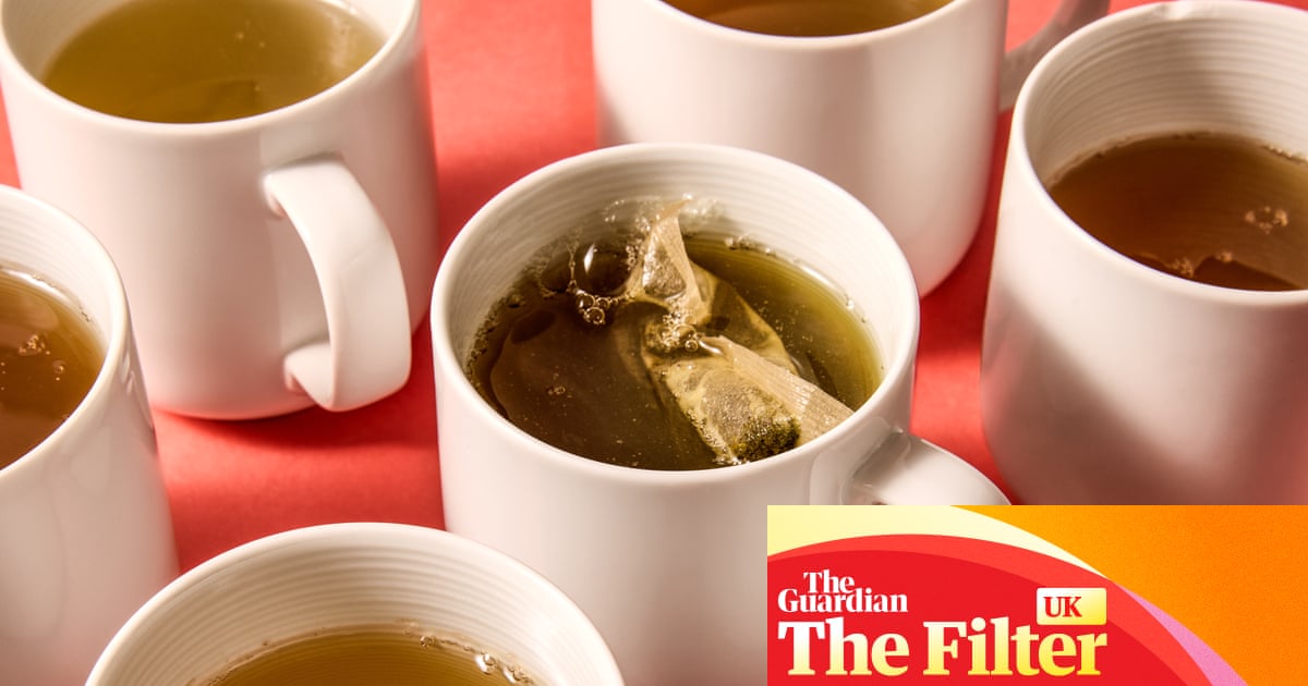 ‘Dark green dust’: the best (and worst) supermarket green teabags, tested and rated