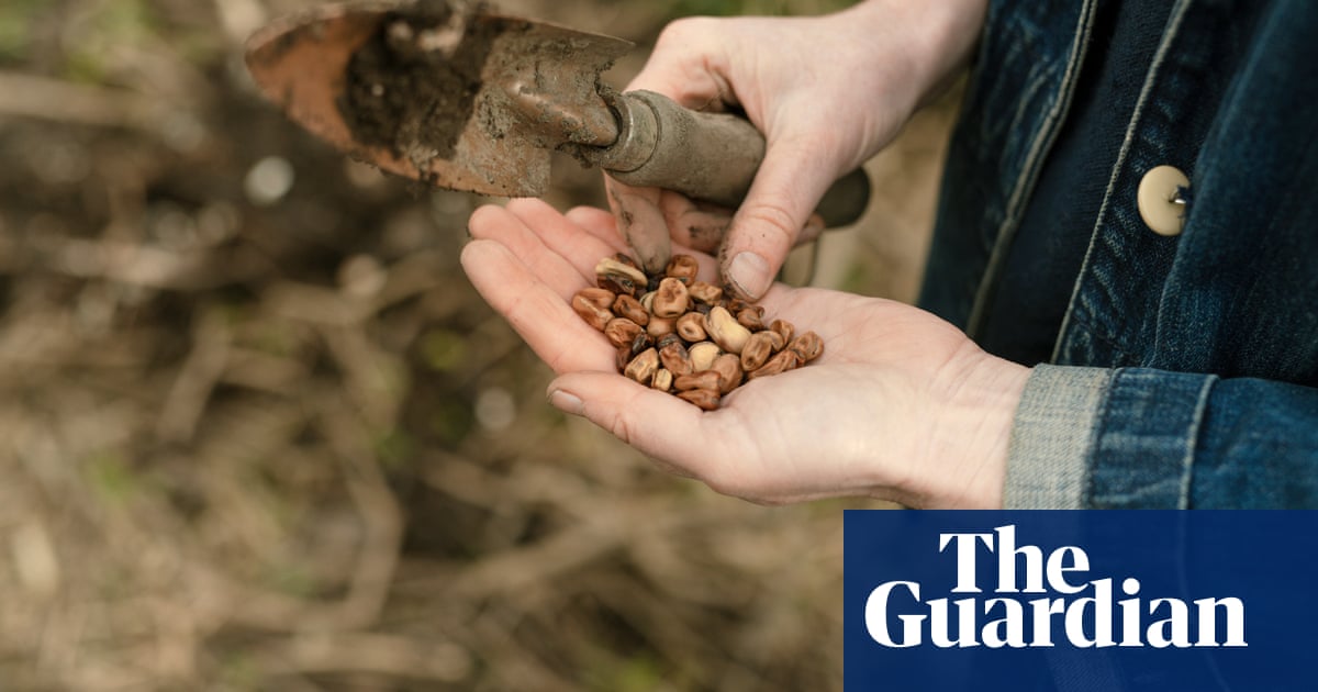 'It's like a secret': why do the leguminati want to change the way we eat?