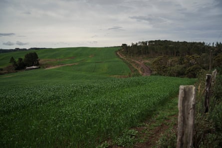 Un paisaje rural ondulado de campos y zonas boscosas.